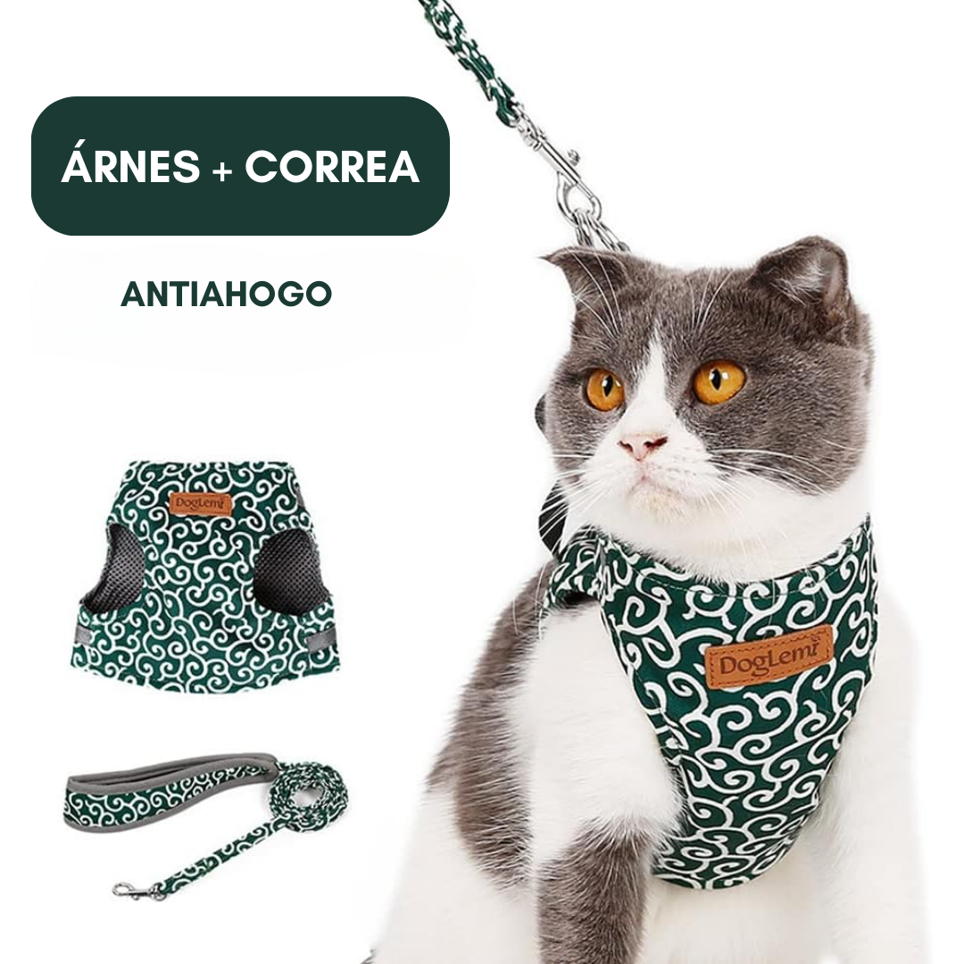 Explorador Felino - Arnés ajustable con correa (2*1)